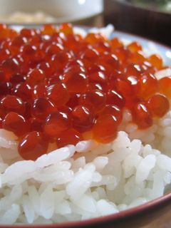 イクラ醤油漬け-レシピのメイン写真
