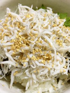 包丁いらず♪簡単シラス丼-レシピのメイン写真