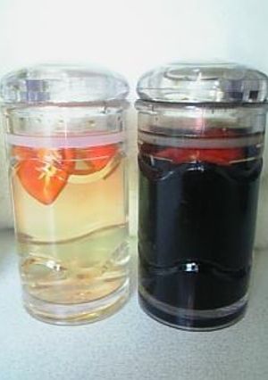 ハバネロ酢＆ハバネロ醤油-レシピのメイン写真