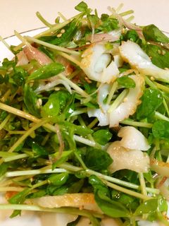 豆苗と竹輪のサラダ-レシピのメイン写真