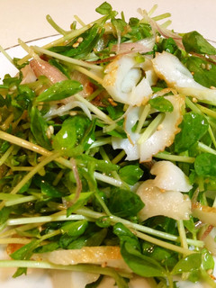 豆苗と竹輪のサラダ-レシピのメイン写真
