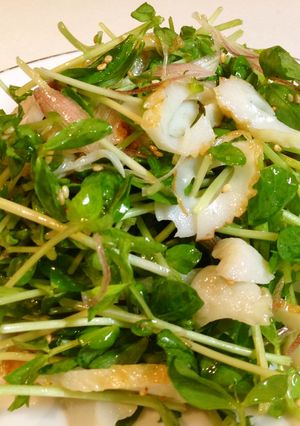 豆苗と竹輪のサラダ-レシピのメイン写真