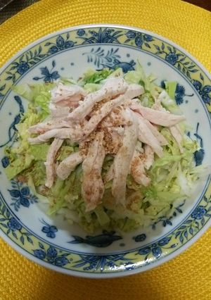 白菜としっとり鳥胸肉のサラダ-レシピのメイン写真