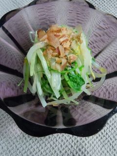 水菜ともやしのおひたし-レシピのメイン写真