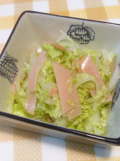 大根と白菜の簡単サラダ♪-レシピのメイン写真