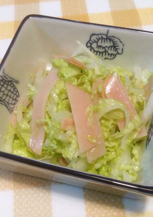 大根と白菜の簡単サラダ♪-レシピのメイン写真