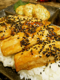 鰯や秋刀魚が美味しい~♪蒲焼き丼-レシピのメイン写真