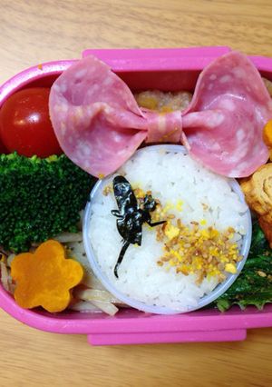 スマホで簡単妖精ティンカーベル キャラ弁-レシピのメイン写真