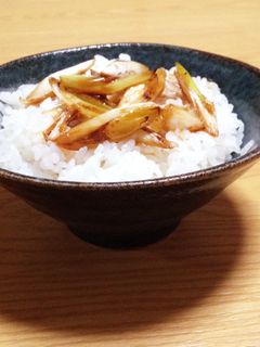 短時間で簡単!ネギ丼-レシピのメイン写真