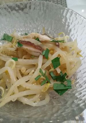 モヤシのカラシポン酢和え-レシピのメイン写真
