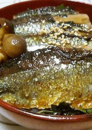 フライパンで簡単！さんまの蒲焼き丼-レシピのメイン写真