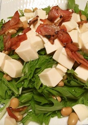 水菜と豆腐の簡単モリモリサラダ-レシピのメイン写真