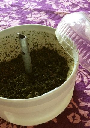 人参の葉ふりかけ-レシピのメイン写真