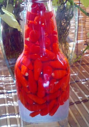 沖縄じゃなくても唐辛子の焼酎漬け-レシピのメイン写真