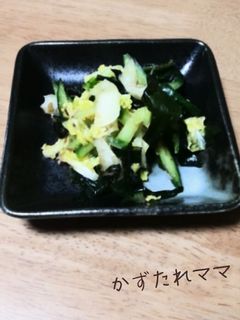 簡単☆白菜とわかめとキュウリの和え物-レシピのメイン写真