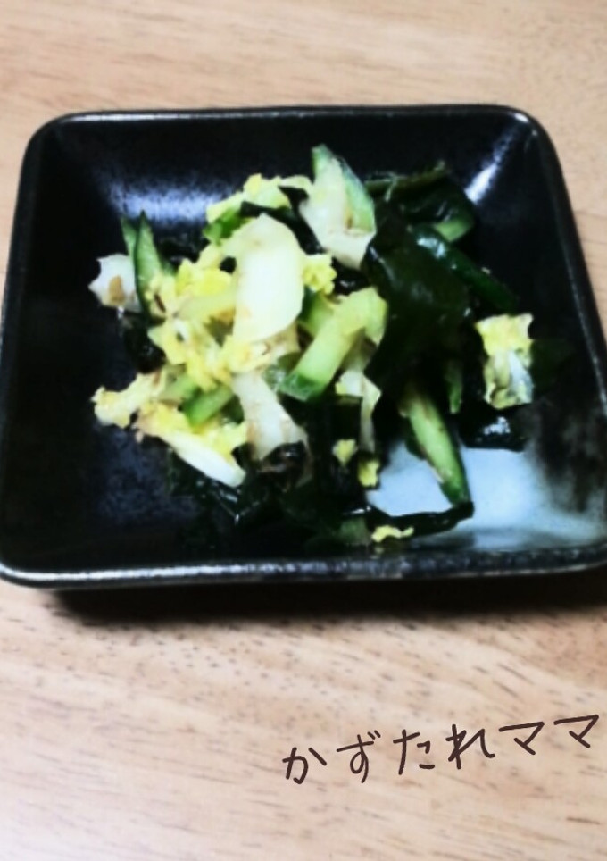 簡単☆白菜とわかめとキュウリの和え物-レシピのメイン写真