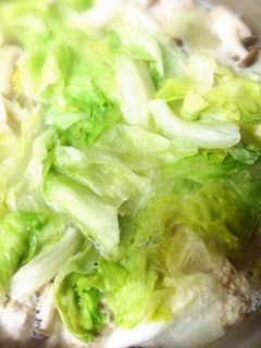 ゴマたっぷり鶏団子とレタスの塩麹鍋-レシピのメイン写真