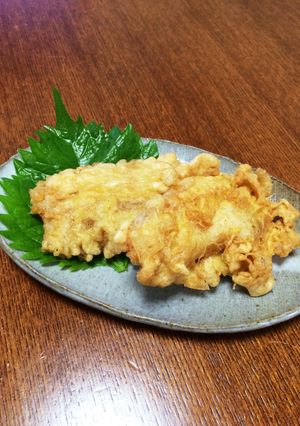 釣った魚が、ボラ-レシピのメイン写真