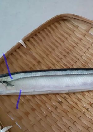 簡単に除去♪秋刀魚の簡単な内蔵の取り方♪-レシピのメイン写真