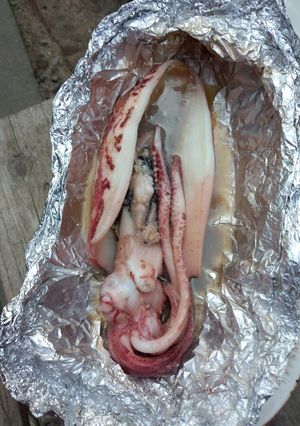 イカまるごとホイル焼き-レシピのメイン写真