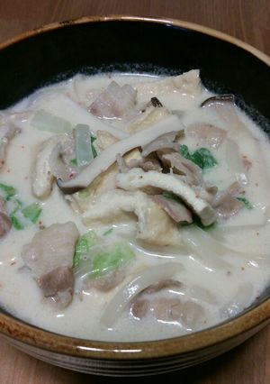 白だしで豆乳うどん-レシピのメイン写真