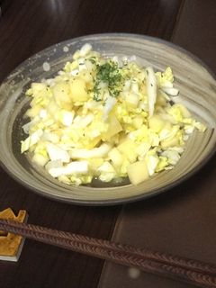 白菜とリンゴのサラダ-レシピのメイン写真