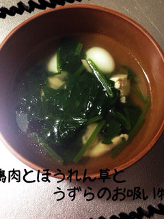 鶏肉とほうれん草とうずらのお吸い物-レシピのメイン写真
