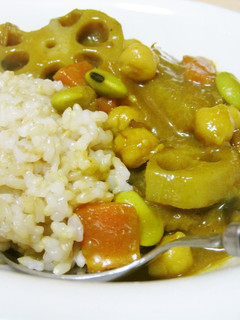 残り煮物で!ひたし豆と根菜の和風カレー-レシピのメイン写真