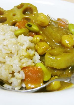 残り煮物で！ひたし豆と根菜の和風カレー-レシピのメイン写真