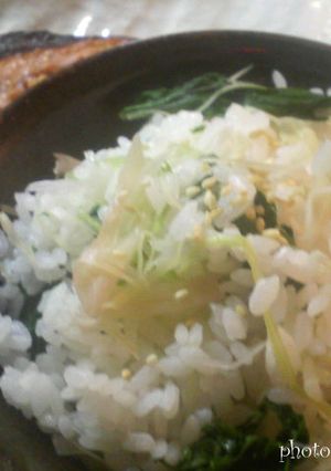 クイック！甘酢漬けご飯-レシピのメイン写真