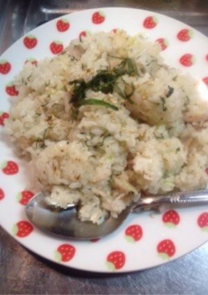 ネギ塩炒飯-レシピのメイン写真