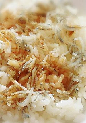 簡単 時短 すぐできるしらすご飯-レシピのメイン写真