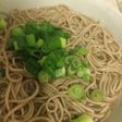 お手軽スープから作る そば