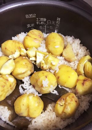 栗たっぷり★簡単美味しい栗ごはん-レシピのメイン写真
