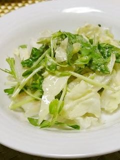 白菜と水菜のサラダ-レシピのメイン写真