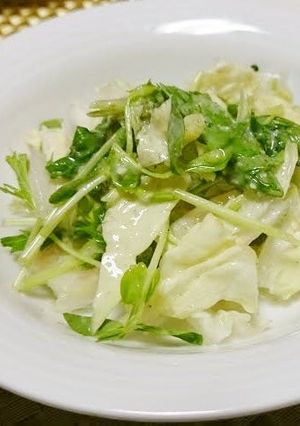 白菜と水菜のサラダ-レシピのメイン写真