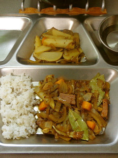最速のエルシャのカレー-レシピのメイン写真