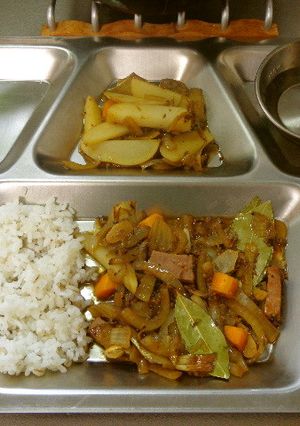 最速のエルシャのカレー-レシピのメイン写真