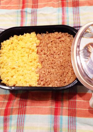 お鍋ひとつで簡単、とりそぼろ2色ごはん-レシピのメイン写真