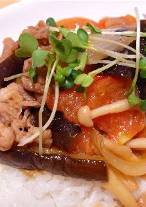豚肉と夏野菜のピリ辛炒め-レシピのメイン写真