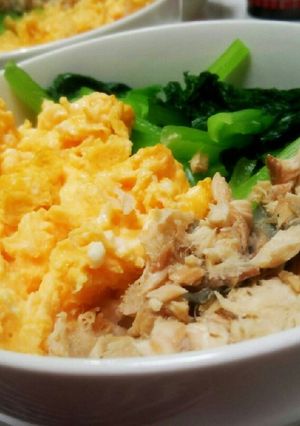 やさし~いお味の☆三色丼-レシピのメイン写真