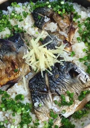さばの切り身でご馳走!鯖めし-レシピのメイン写真