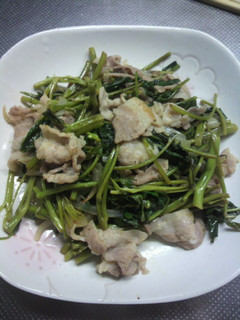 塩カボス利用!!豚肉と空芯菜の炒め物。-レシピのメイン写真