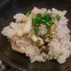 รูปของ イカだけ！イカ飯