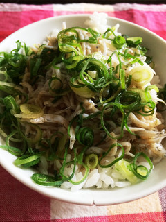 え、知らないの?!しらすとネギの混ぜご飯-レシピのメイン写真