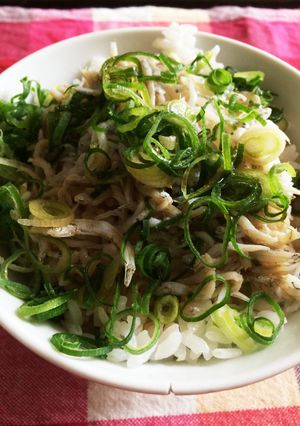 え、知らないの？！しらすとネギの混ぜご飯-レシピのメイン写真