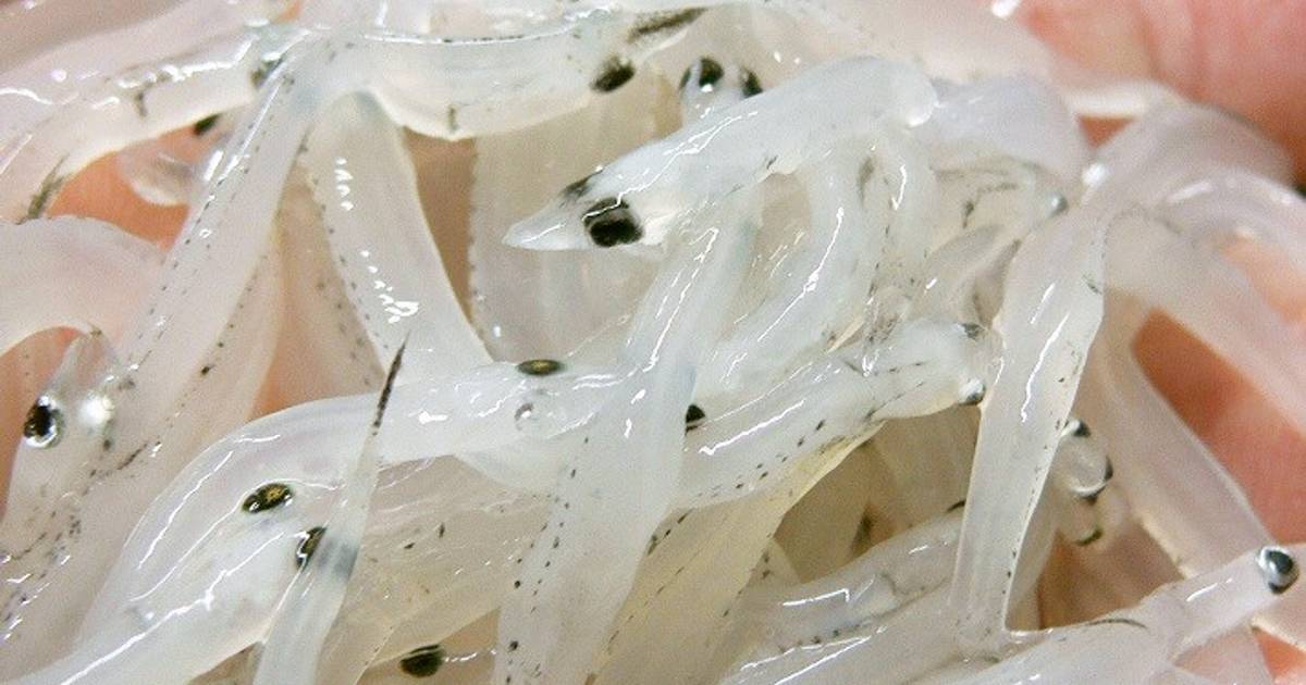 基本からアレンジまで!思わずつくりたくなる「白魚」のレシピ集 | クックパッド