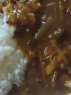 ズボラ母ちゃんの愛情入りゴボウカレー-レシピのメイン写真