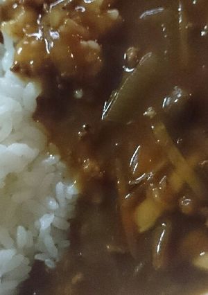 ｽﾞﾎﾞﾗ母ちゃんの愛情入りゴボウカレー-レシピのメイン写真