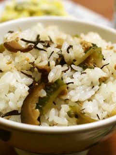 ゴーヤとひじきのオイスター混ぜご飯-レシピのメイン写真